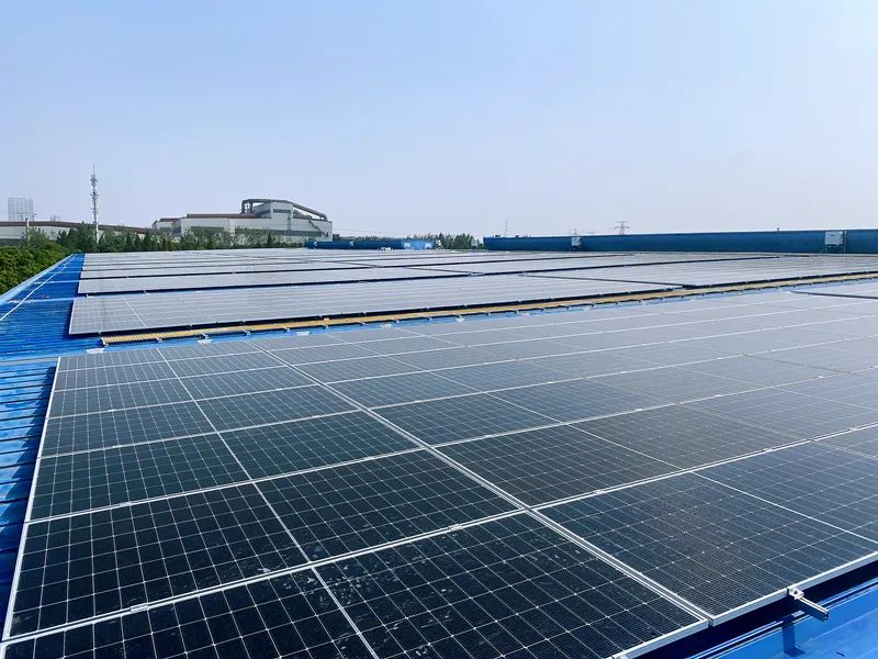 1699491761279552.jpg 640.jpg